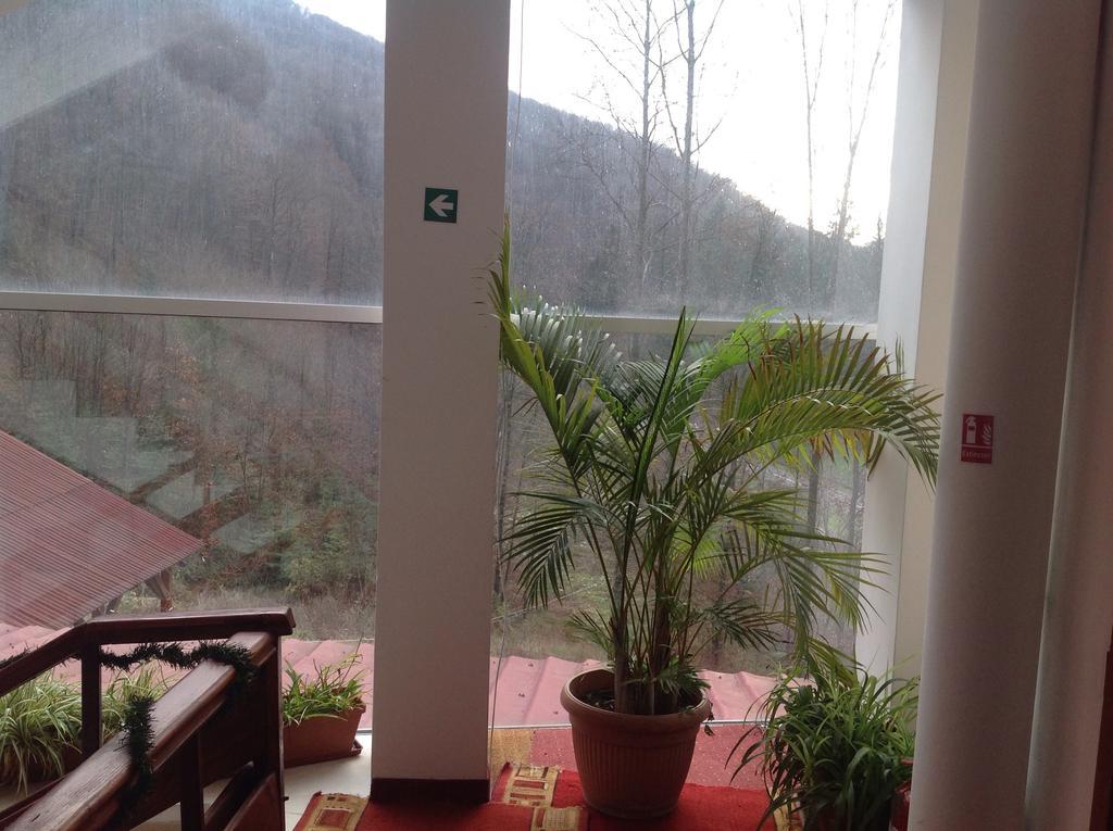 Hotel Panoramic Moneasa Habitación foto